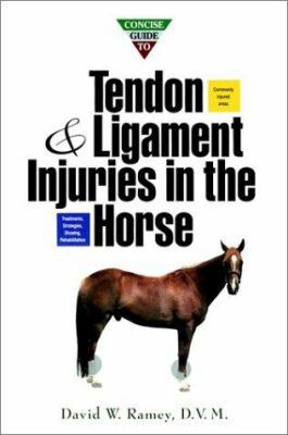 Concise Guide to Tendon and Ligament Injuries i... 0876059124 Book Cover