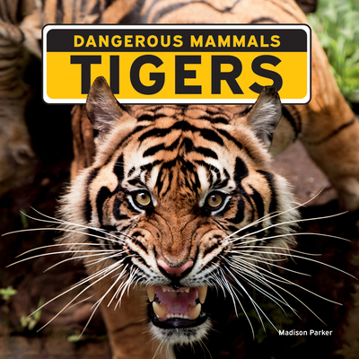 Tigers 1684502683 Book Cover