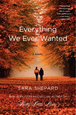 Everything We Ever Wanted 0062080067 Book Cover