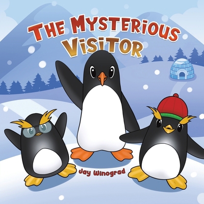 The Mysterious Visitor 9948721128 Book Cover