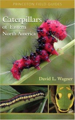 Caterpillars of Eastern North America: A Guide ... 0691121443 Book Cover