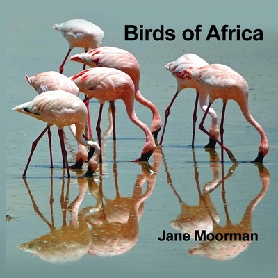 Birds of Africa B0DNGB1Y1Z Book Cover