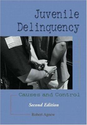 Juvenile Delinquency: Causes and Control 1931719225 Book Cover
