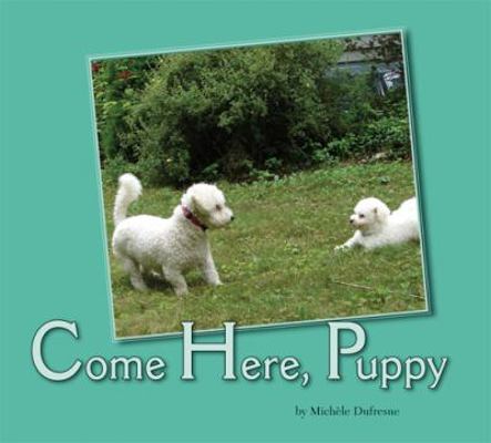 Come Here, Puppy 1932570535 Book Cover