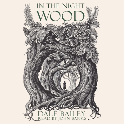 In the Night Wood 0358324505 Book Cover