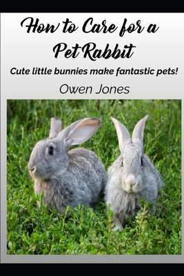 How To Care For A Pet Rabbit: Cute little bunni... B0BF31V4C8 Book Cover