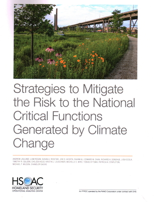 Strategies to Mitigate the Risk to the National... 1977410006 Book Cover