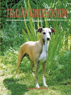 Italian Greyhounds Today 0948955929 Book Cover