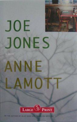 Joe Jones: A Novel 1402579209 Book Cover