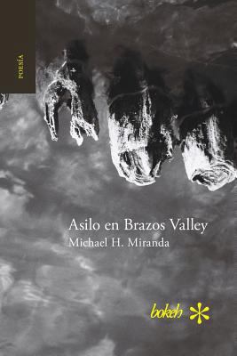 Asilo en Brazos Valley [Spanish] 9491515837 Book Cover