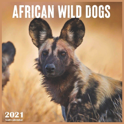 Paperback African Wild Dogs: 2021 Wall & Office Calendar, 12 Month Calendar Book