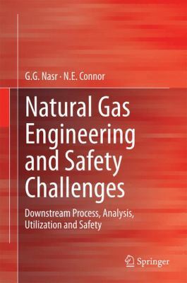 Natural Gas Engineering and Safety Challenges: ... 3319089471 Book Cover