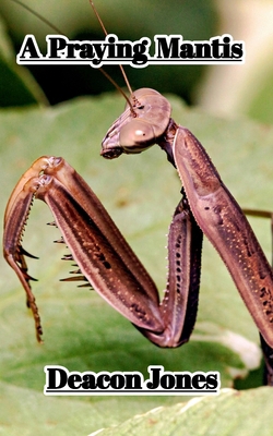A Praying Mantis B0DP1PSWJ6 Book Cover