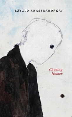 Chasing Homer 0811227979 Book Cover