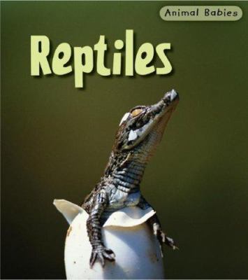 Reptiles 1403492468 Book Cover