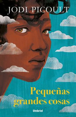 Pequeñas Grandes Cosas [Spanish] 8416517185 Book Cover