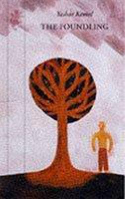 Salman the Solitary 1860463908 Book Cover