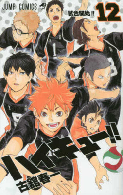 Haikyu!! 12 [Japanese] 4088801539 Book Cover