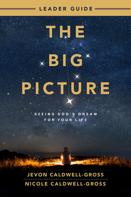 The Big Picture Leader Guide: Seeing God's Drea... 1791025978 Book Cover