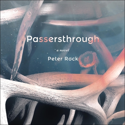 Passersthrough B0BJH1Q9HT Book Cover