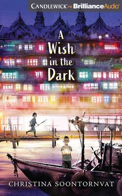 A Wish in the Dark 1799731294 Book Cover
