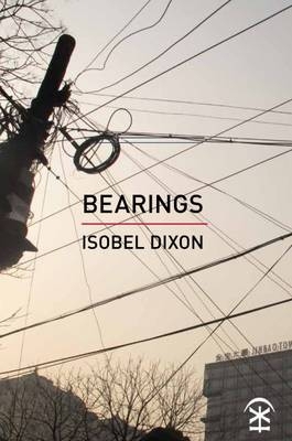 Bearings 1911027026 Book Cover