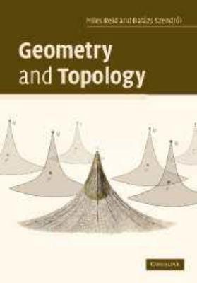 Geometry and Topology 0511807511 Book Cover