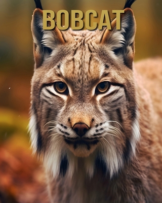 Bobcat: Amazing Picture and Facts About Bobcat ...            Book Cover