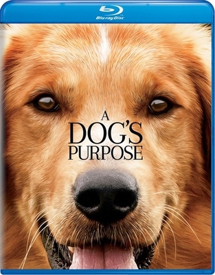 A Dog's Purpose            Book Cover