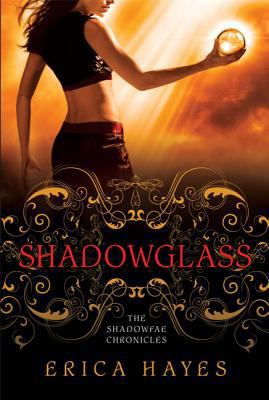 Shadowglass 0312578016 Book Cover