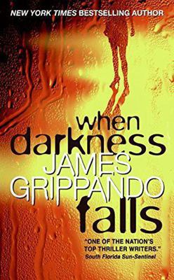When Darkness Falls - LARGE PRINT 0739478451 Book Cover