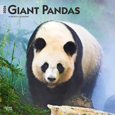 Giant Pandas 2026 12 X 24 Inch (Hanging) Monthl... B0DYLBJXF7 Book Cover