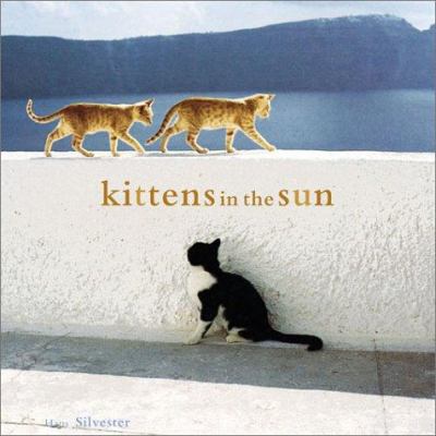 Kittens in the Sun 0811839052 Book Cover