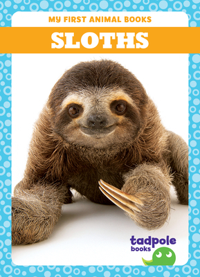 Sloths B0BY1HVLXV Book Cover