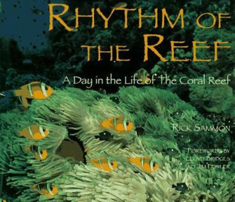 Rhythm of the Reef: A Day in the Life of the Co... 0896583112 Book Cover