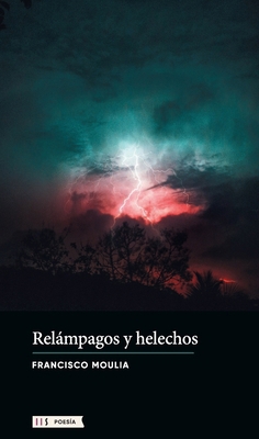 Relámpagos y helechos [Spanish] 9878916545 Book Cover