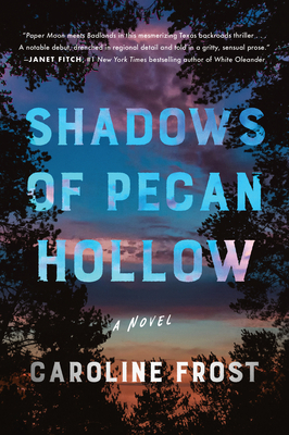 Shadows of Pecan Hollow 0063065355 Book Cover