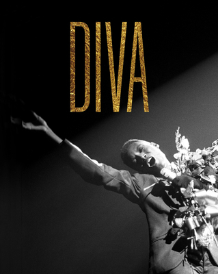 Diva: An Illustrated Guide to the Glamorous Per... 1838510354 Book Cover