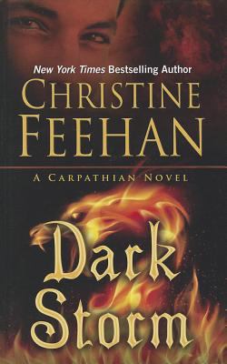 Dark Storm [Large Print] 1410452182 Book Cover