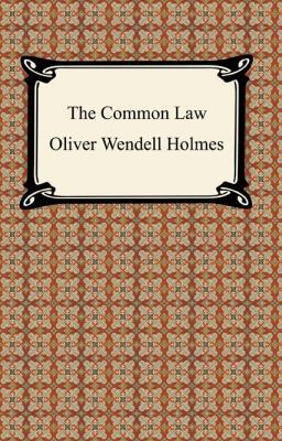 The Common Law 1420926462 Book Cover