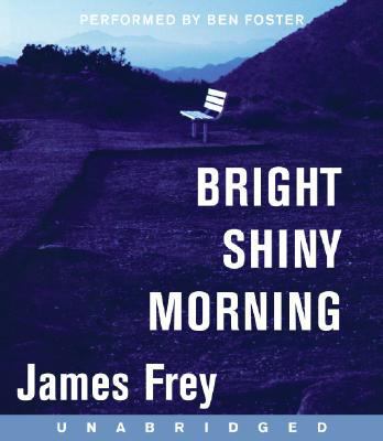 Bright Shiny Morning 0061575526 Book Cover