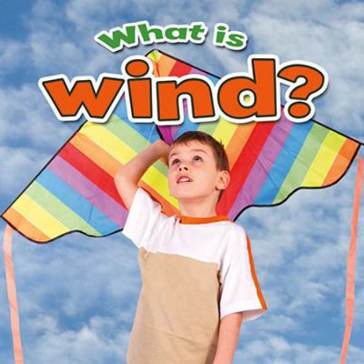 What Is Wind? 0778707644 Book Cover
