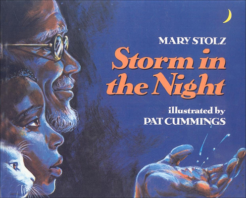 Storm in the Night 0812495942 Book Cover