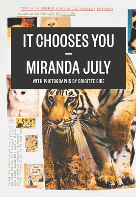 It Chooses You 1936365014 Book Cover