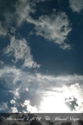 Illustrated Life Of The Blessed Virgin 147810127X Book Cover