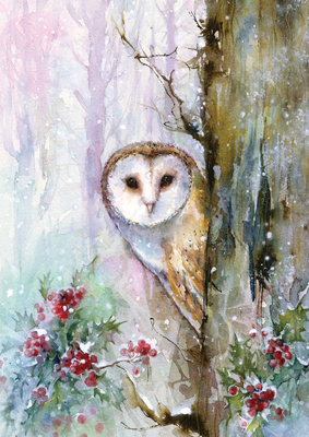 Woodland Owl Small Boxed Holiday Cards (20 Card... 1441343415 Book Cover