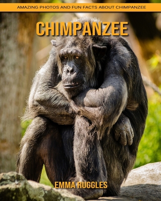 Paperback Chimpanzee: Amazing Photos and Fun Facts about Chimpanzee [Large Print] Book