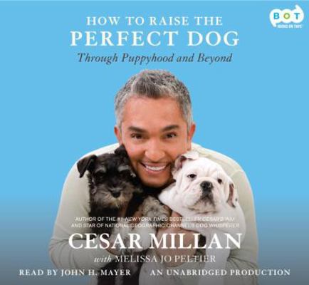 How to Raise the Perfect Dog: Through Puppyhood... 1415967121 Book Cover