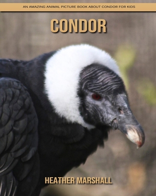 Condor: An Amazing Animal Picture Book about Condor for Kids B08JB7BX3L Book Cover