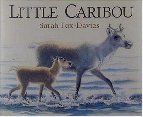 Little Caribou 1564029239 Book Cover